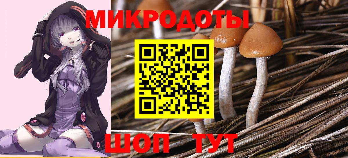 Галлюциногенные грибы MAGIC MUSHROOMS  Зима 