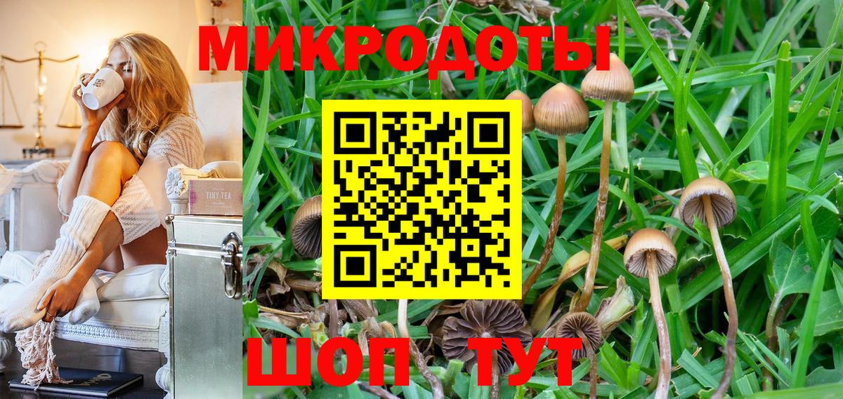 Галлюциногенные грибы мухоморы  Вход с VPN  Галлюциногенные грибы Psilocybe  Зима 