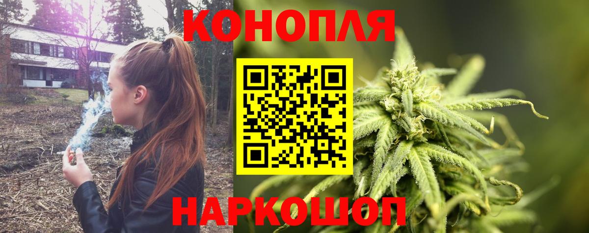 Канабис семена Зима